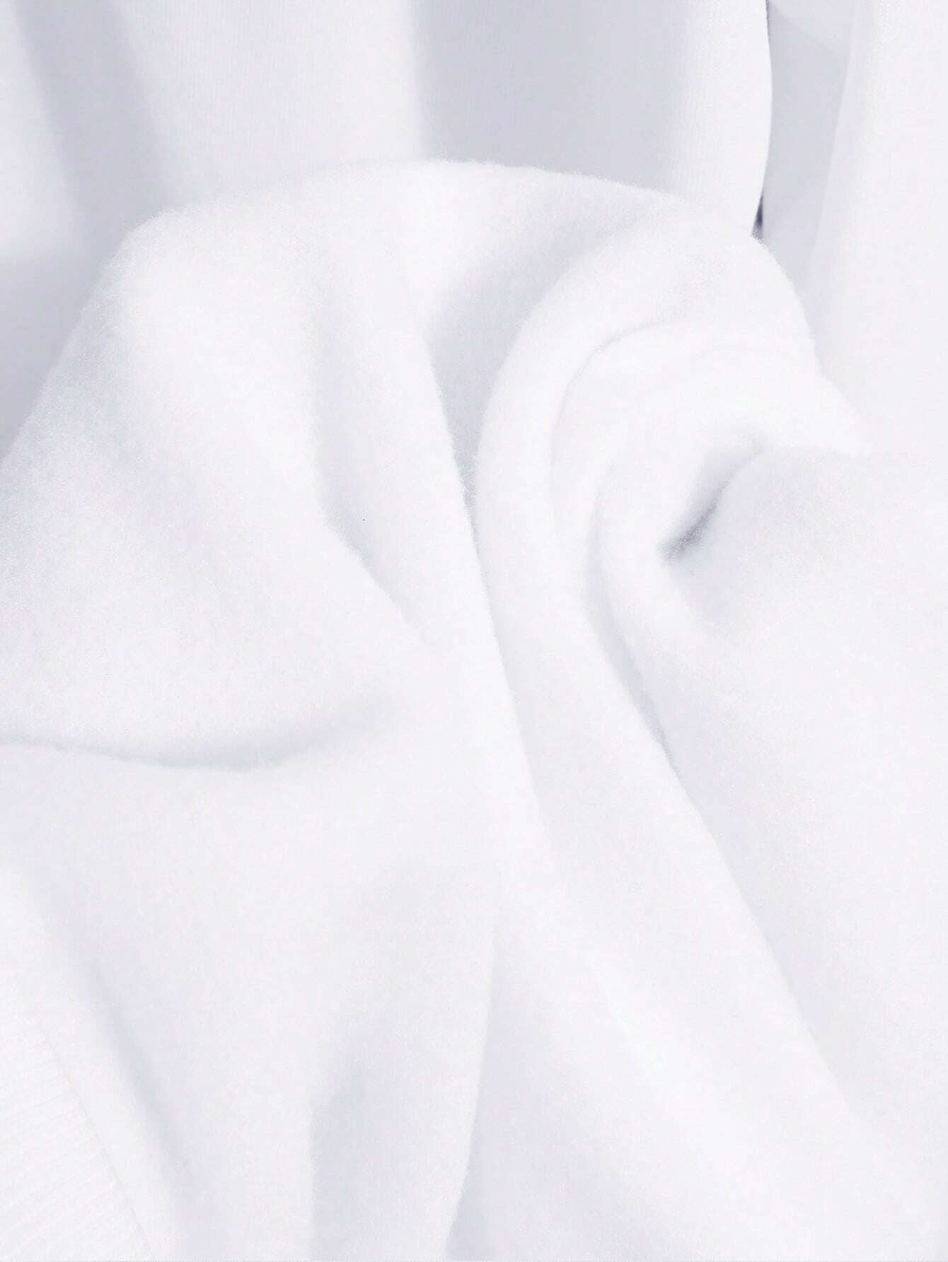 Manfinity Dauomo Men Letter Graphic Thermal Lined Sweatshirt , Fall Winter